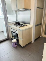 The Parc Condominium (D5), Condominium #502313641